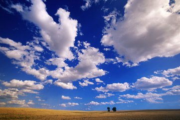 川越課外輔導是一家專業的針對中小學的課外培訓學校