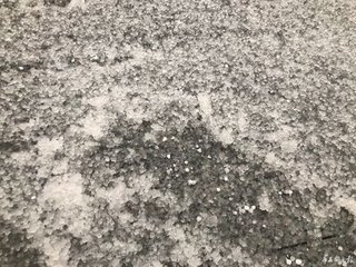 成都培訓學校,課外培訓,成都補習班,課外輔導學校,中小學課外輔導中心,課外輔導教育機構,課外輔導,雙流課外輔導,成都培訓,中小學課外輔導機構,課外輔導機構,小學課外輔導,成都培訓公司,培訓學校網站,雙流補習班,高考,中考