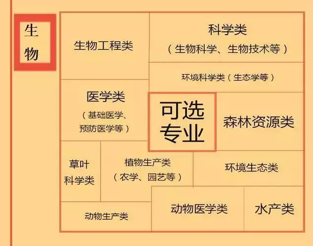 根據特長選專業，高中各門課程對應大學專業實用盤點，志愿填報的你不可錯過！