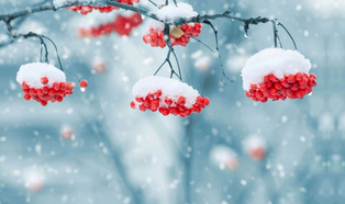 教育孩子拼的是什么？經濟實力？階層實力？