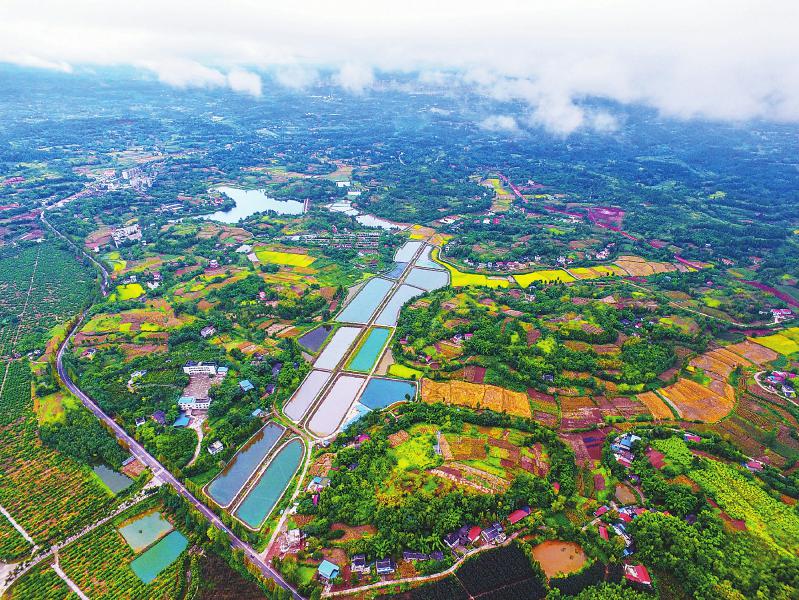 全省教育系統掀起傳達學習貫徹習近平總書記來川視察重要講話精神熱潮