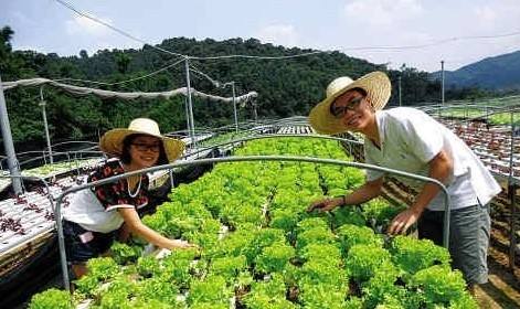 大學畢業生從事現代農業 最高可獲補助3萬元