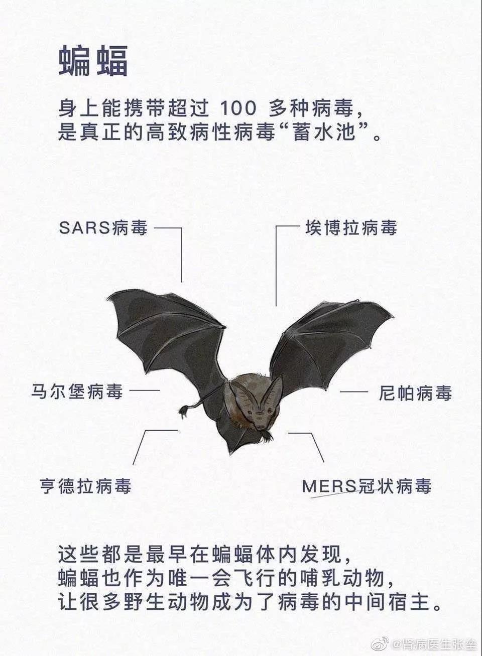 這10道與疫情有關的作業題，你的孩子會如何作答？