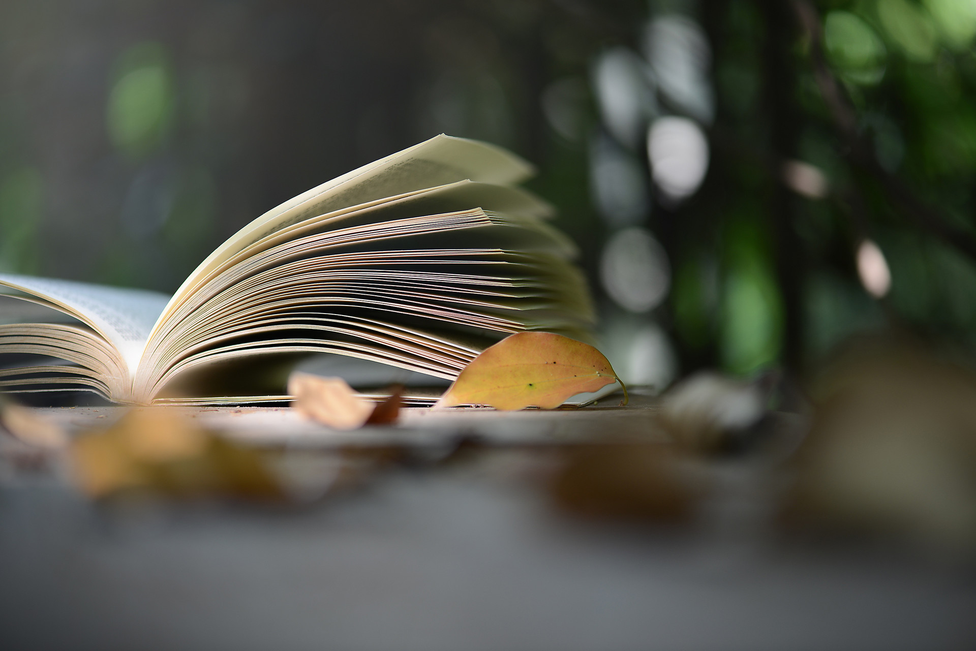 嚴查假證！人社部開展“山寨職業證書”專項治理